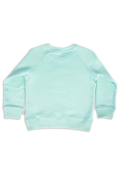 Ozmoz By Mukadder Özden Organic Cotton Koala Printed Green Winter Boys' Sweatshirt