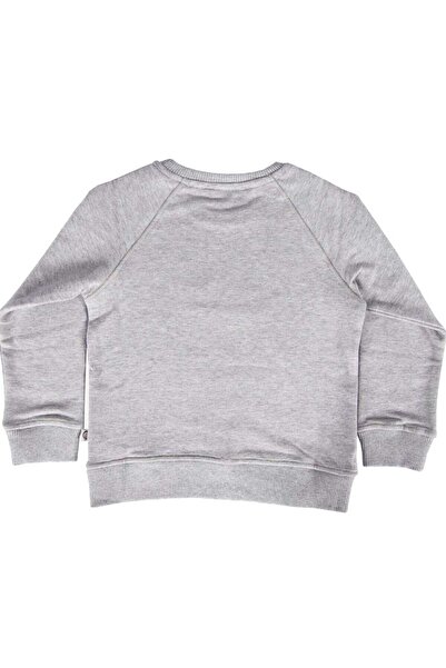 Ozmoz By Mukadder Özden Organic Cotton Koala Printed Gray Winter Boys' Sweatshirt