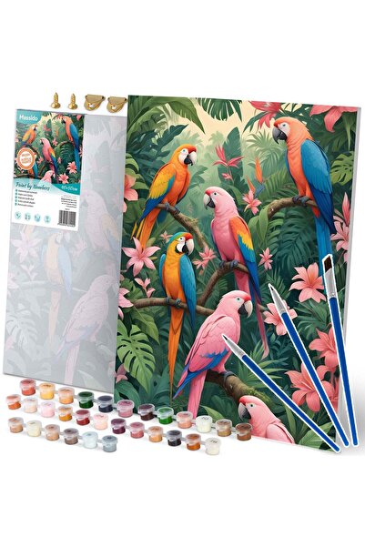 Other Paint by number picture 40x50 cm Massido Papugi