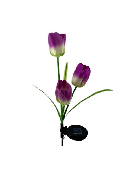 GIMASE Decorative Solar Lamp GIMASE, Tulip Type with 3 Flowers, 78 cm, Warm L...