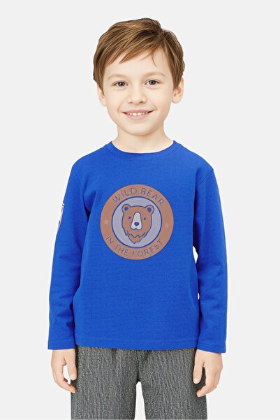 Sinsay Toddlers Boy Crew Neck Long Sleeve Graphic Print T-Shirt, Blue