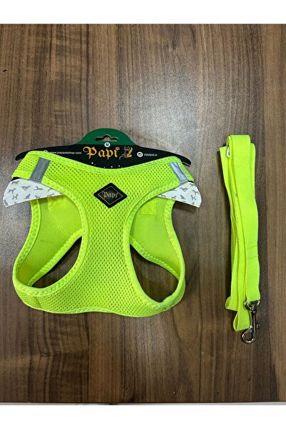 ATT STİL TEKSTİL Cat Dog Collar with Leash and Gift