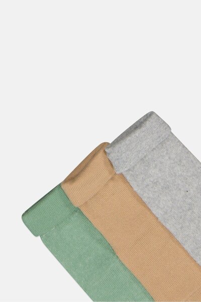 Sinsay Fox and Bunny By Toddlers Boy 3 Pair Solid Socks, Multicolor