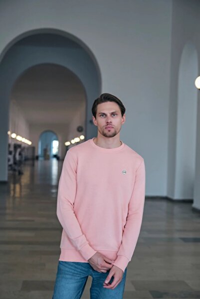 AJ 81 Basic Sweatshirt Pudra