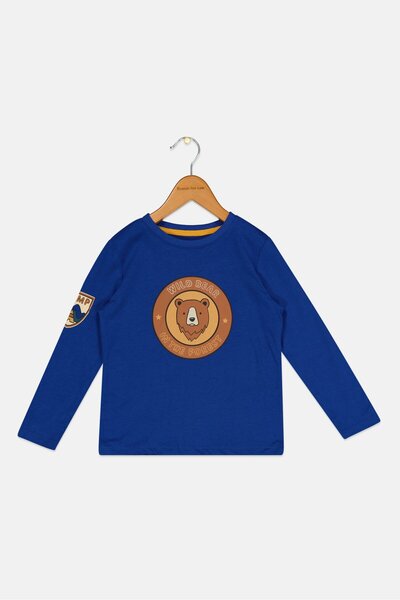 Sinsay Toddlers Boy Crew Neck Long Sleeve Graphic Print T-Shirt, Blue
