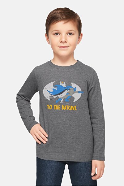 Sinsay x Batman Toddlers Boy Graphic Print Long Sleeve T-Shirt, Grey