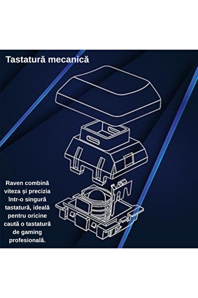 Raven DR1TECH Mechanical TKL gaming keyboard, PC/PS4, RGB lighting, 87 anti-ghosting keys, USB cable