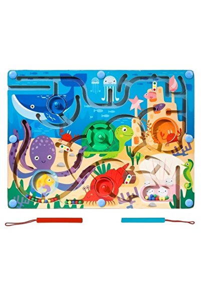 DAMUR Joc Montessori de sortare a culorilor, cu stilou magnetic, tip labirint...