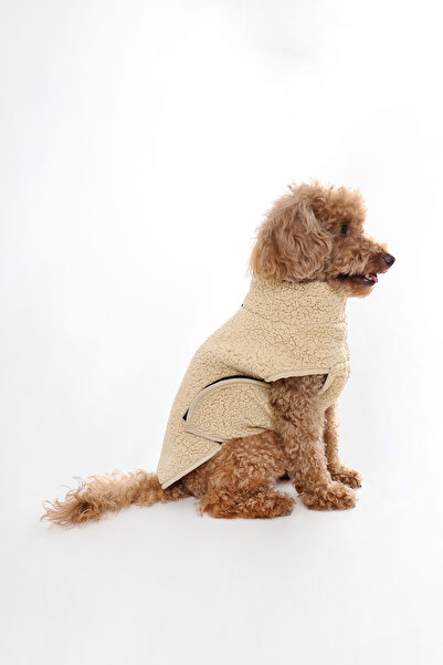 Petitibo Cozzy Kısa Boğazlı Köpek Yeleği - Krem