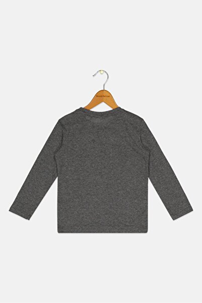 Sinsay x Batman Toddlers Boy Graphic Print Long Sleeve T-Shirt, Grey