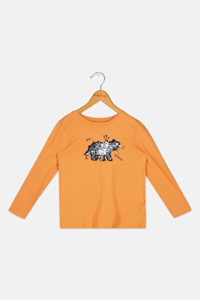 Sinsay تي شيرت للأطفال الأولاد بأكمام طويلة وياقة دائرية مزخرفة، برتقالي