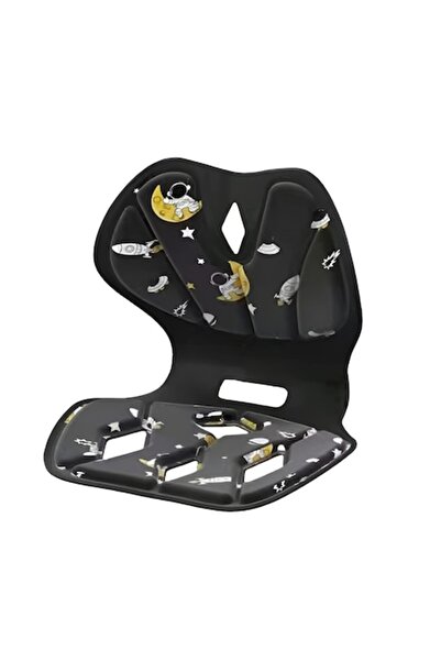 Danex Seat Posture Corrector Support, Portable, Foldable, Ergonomic, L, Black