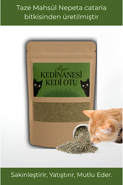 KorPet Doğal Orjinal Kedi Nanesi Catnip Kurutulmuş Taze Mahsül 20 gr