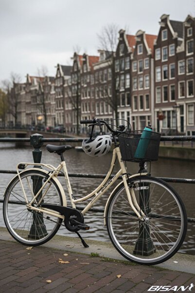 Bisan Paradıse 28 Jant Kadın Şehir Bisikleti 54 cm Çelik Kadro V-Fren Krem Gri (Vitessiz)