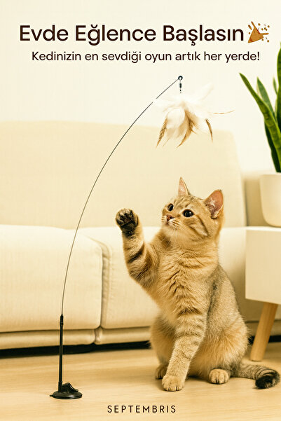 MİKOPET Kedi Oyuncağı, Vantuzlu Tüylü Zilli - Refleks Geliştirici Oyun Oltası