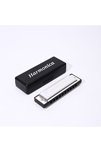 Choice Silver Harmonica Key of C 10 Hole Diatonic Harmonica C with Case for B...