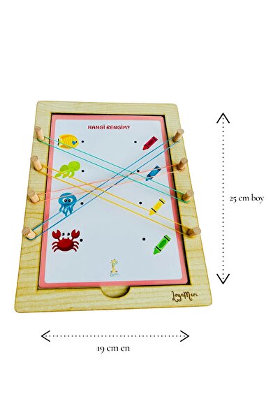 Loyameri Kidsshop طاولة مطابقة مطاطية، نشاط ما قبل المدرسة، نشاط التعليم الخا...
