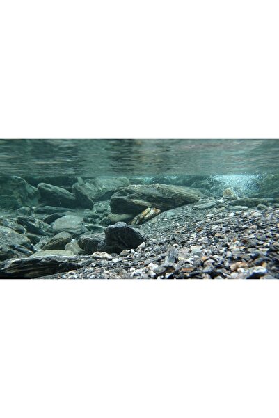 Kanki Pet KP1256331 Akvaryum Arka Fon Yapıştırma 125 x 63 CM