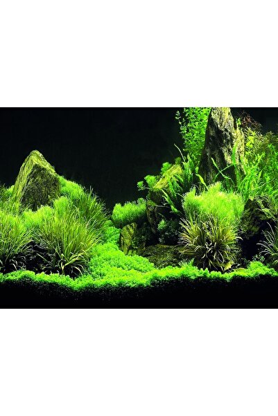 Kanki Pet KP5540035 Akvaryum Arka Fon Yapıştırma 55 x 40 CM