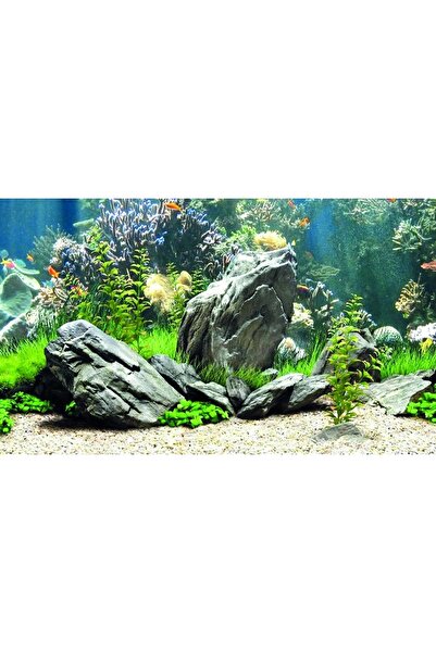 Kanki Pet KP8550034 Akvaryum Arka Fon Yapıştırma 85 x 50 CM