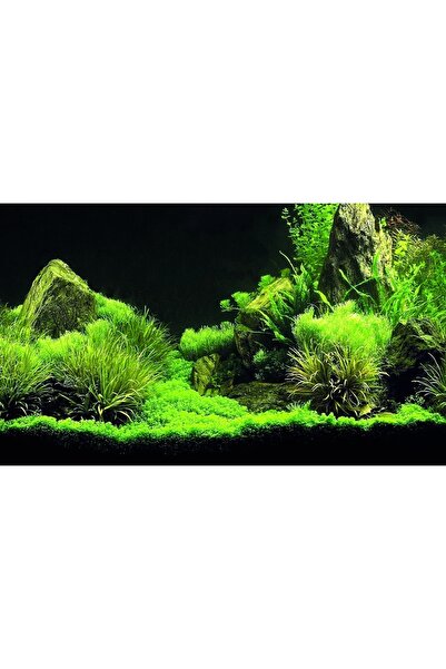 Kanki Pet KP8550035 Akvaryum Arka Fon Yapıştırma 85 x 50 CM