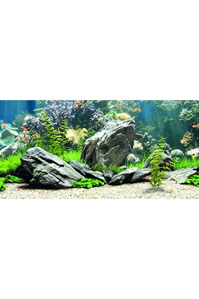 Kanki Pet KP10552034 Akvaryum Arka Fon Yapıştırma 105 x 52 CM