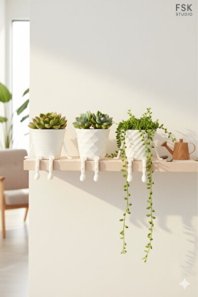 FSK STUDIO Sevimli Skulent Saksıları