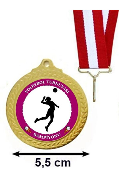 Özcan Tasarım Odbojkaški turnir - Medalja
