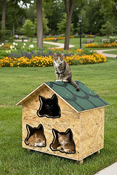Reyo 3 Bölmeli Kedi Evi Su Yalıtımlı Rüzgar ve Soğuğa Dayanıklı Ahşap Kedi Ev...