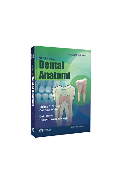 Güneş Tıp Kitabevleri Woelfel Dental Anatomi