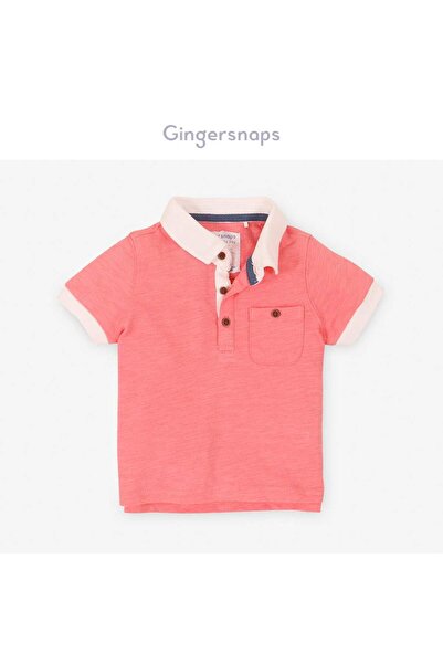 Gingersnaps Boys' Plain Polo T-Shirt with White Collar