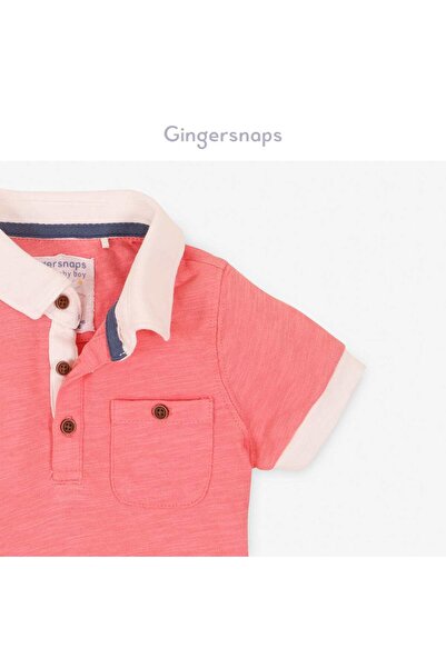 Gingersnaps Boys' Plain Polo T-Shirt with White Collar