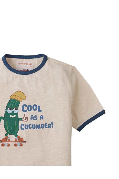 Gingersnaps Boys' Short Sleeve T-Shirt with Front Print and Round Neck