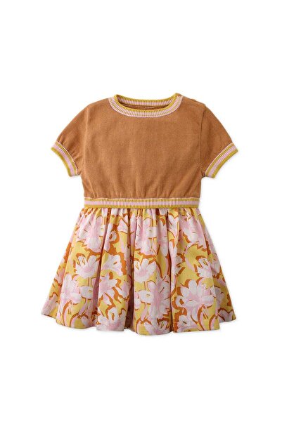 Gingersnaps Girls' Baby Dress with Fluffy Skirt
