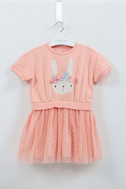 Gingersnaps Embroidered Short Sleeve Ruffled Chiffon Dress for Girls