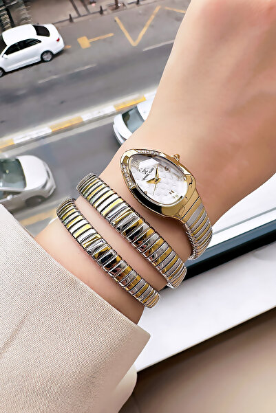 Daniel Klein Snake Watch Model - Women's Wrist Watch, Waterproof Gold Silver Steel Band - Bracelet Gift Dkby2044C3