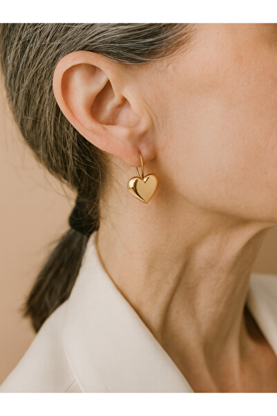 hansev Aksesuar Kalp Model Kadın Küpe – Zarif & Şık Tasarım, Özel Kutulu