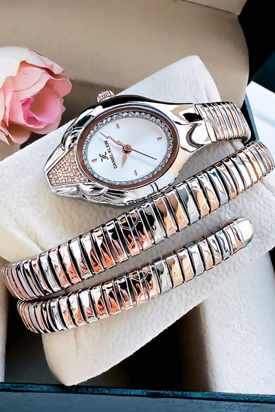 Daniel Klein Snake Watch Model - Women's Wrist Watch, Waterproof Rose Gumus Steel Band - Bracelet Gift Dkby2045C6