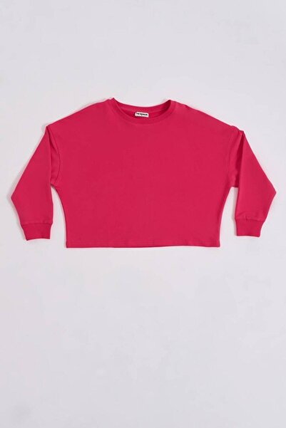 THERECOLOR Pink Organic Women's Crop Sweatshirt Long Sleeve