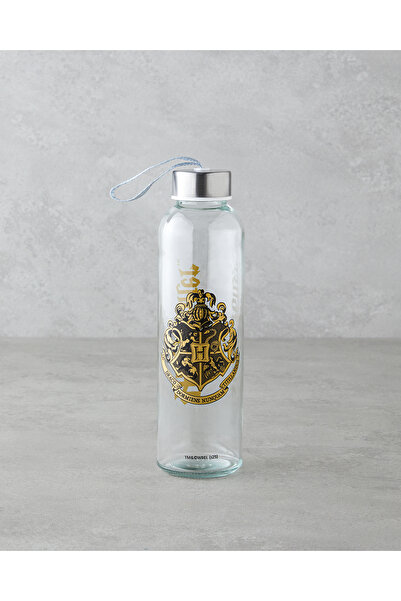English Home Harry Potter Cam Lisanslı Şişe 500 ml Renkli