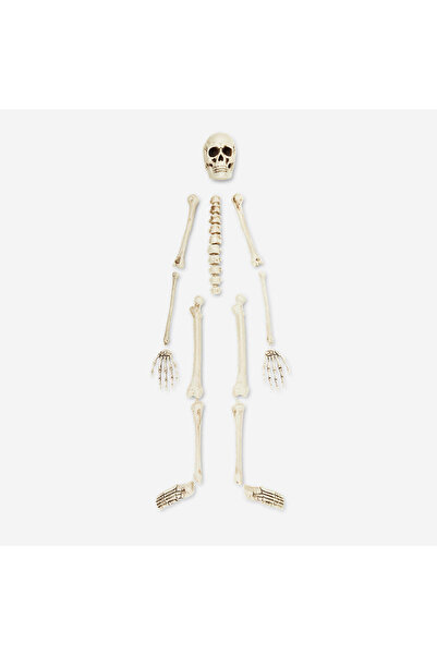 Flying Tiger Copenhagen Dekoratif İskelet Seti