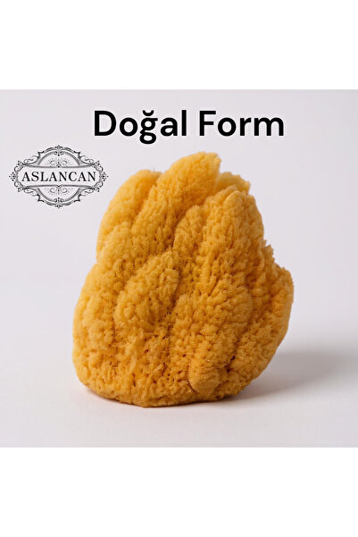 ASLANCAN %100 Doğal Deniz Süngeri 7-12 cm | Yenidoğan ve Bebek Banyosu İçin Yumuşak Süngerİ hediyelik