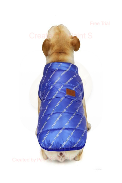 fara marca Geaca catei albastru M 25cm