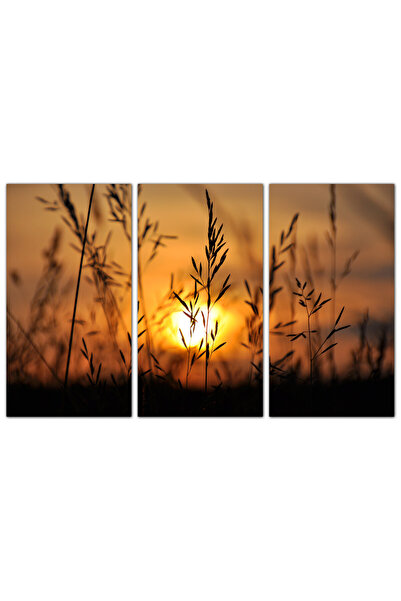 Generic Wall panel - Sunset - 1510 - divided into three pieces