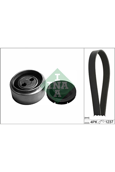 FAG Комплект ремъци V-образен профил за Audi A4 B5/A6 C5/A8 D2 Skoda Superb 1