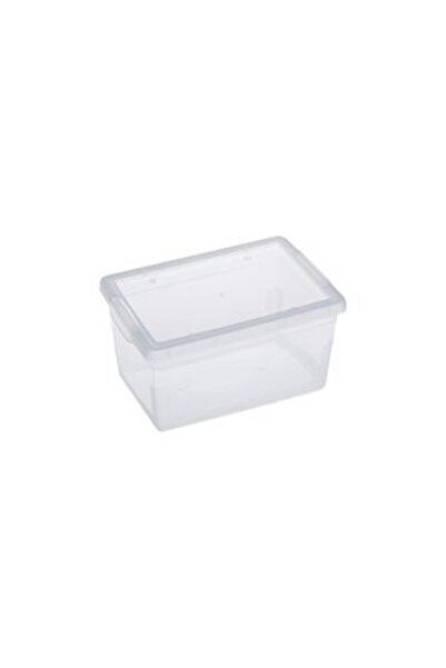 SHOPIENS Transparent Plastic Storage Box with Lid 2L
