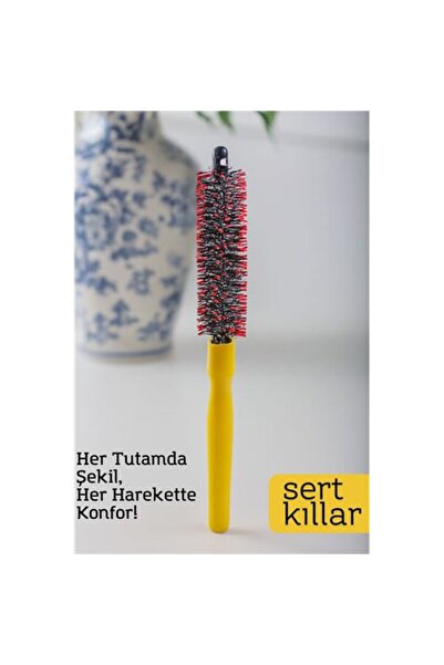 Skygo فرشاة شعر مستديرة من موداكار – 24 سم × 2.3 سم |   عمق 2.1 ملم |   شعيرا...