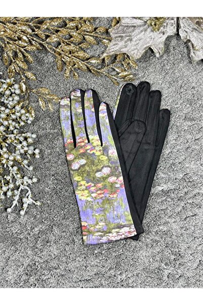 Intisimo Women's Gloves, Velvet, Luxury, Touchscreen, One-Size, Painting, Pur...