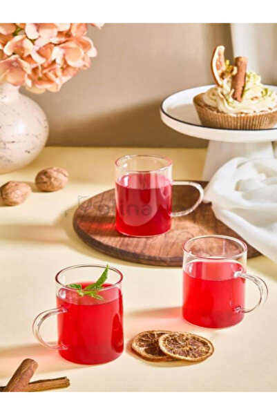 ALİNA HOME Borosilicate 6 Li Glass Thermos Mug Cup