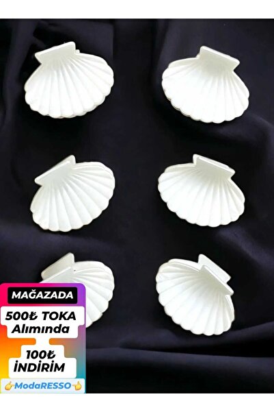 modares 6 Pieces Seashell Clam White Model Latch Clasp Large Size 7 cm